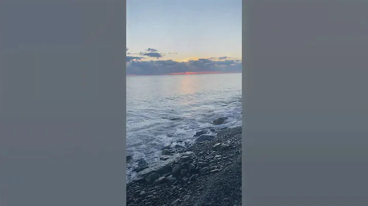 Шортс на миллион🐳