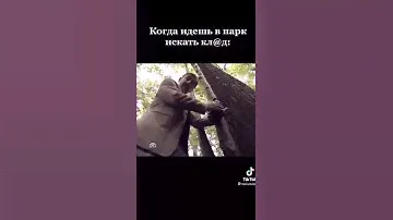 спортивное ориентирование (прикол)