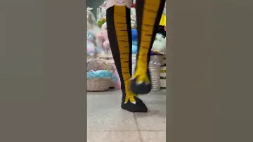 Как насчёт куриных ножек?😁#топ #юмор #носки #игрушки #мягкиеигрушки #цветныеноски #носкикуриныелапы
